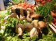 Porcini al mercato Parioli